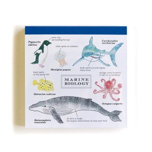 Memo Pad Notes - Biologia Morska