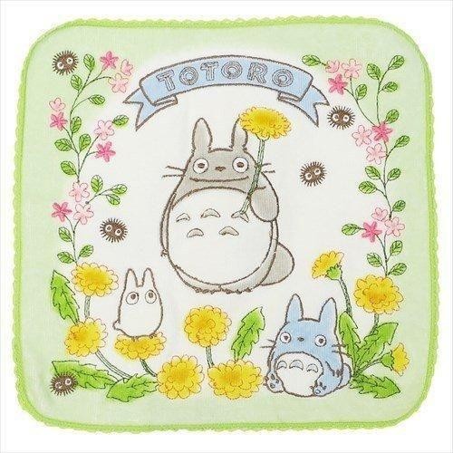 totoro4992272648874.jpg