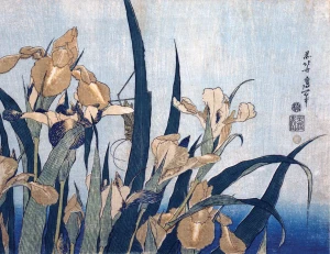 Karta pocztowa - ukiyo-e - Irysy i konik polny - Hokusai  