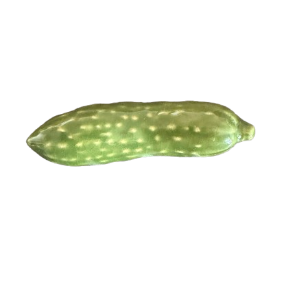 ogórek.png