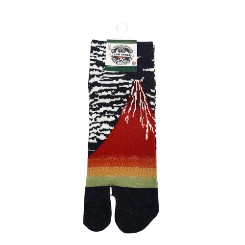 Fuji2