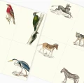 FAUNA1.webp