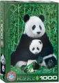 pandy.webp