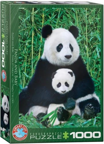 pandy.webp