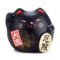 Maneki Neko Feng Shui - zdrowie
