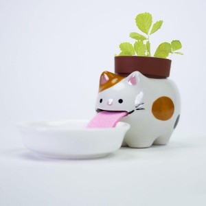 Peropon - mini kotek z roślinką