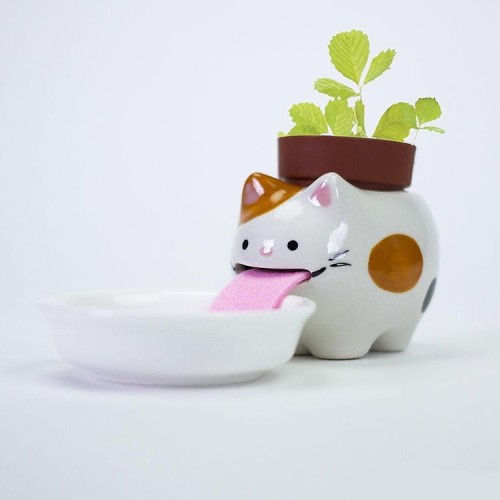 Peropon Papa - mini  Kotek