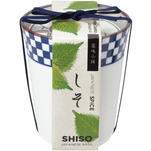 Porcelanowa doniczka z nasionami - Shiso