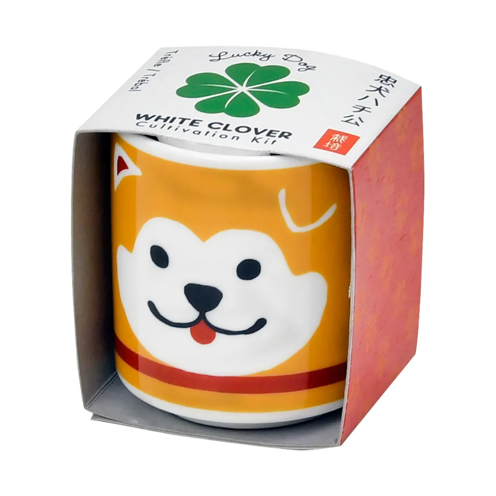 Lucky Dog - Hachi  -  doniczka z roślinką