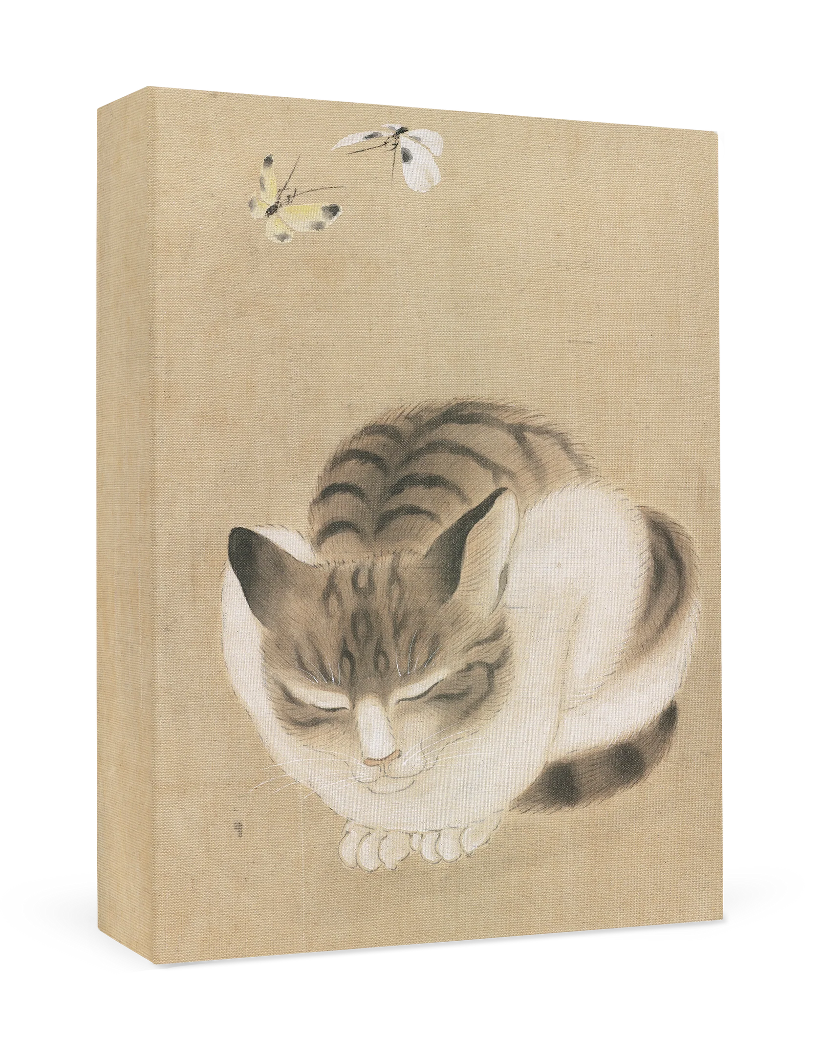  Zestaw kart pocztowych 10 szt. - Śpiący kot i motyle