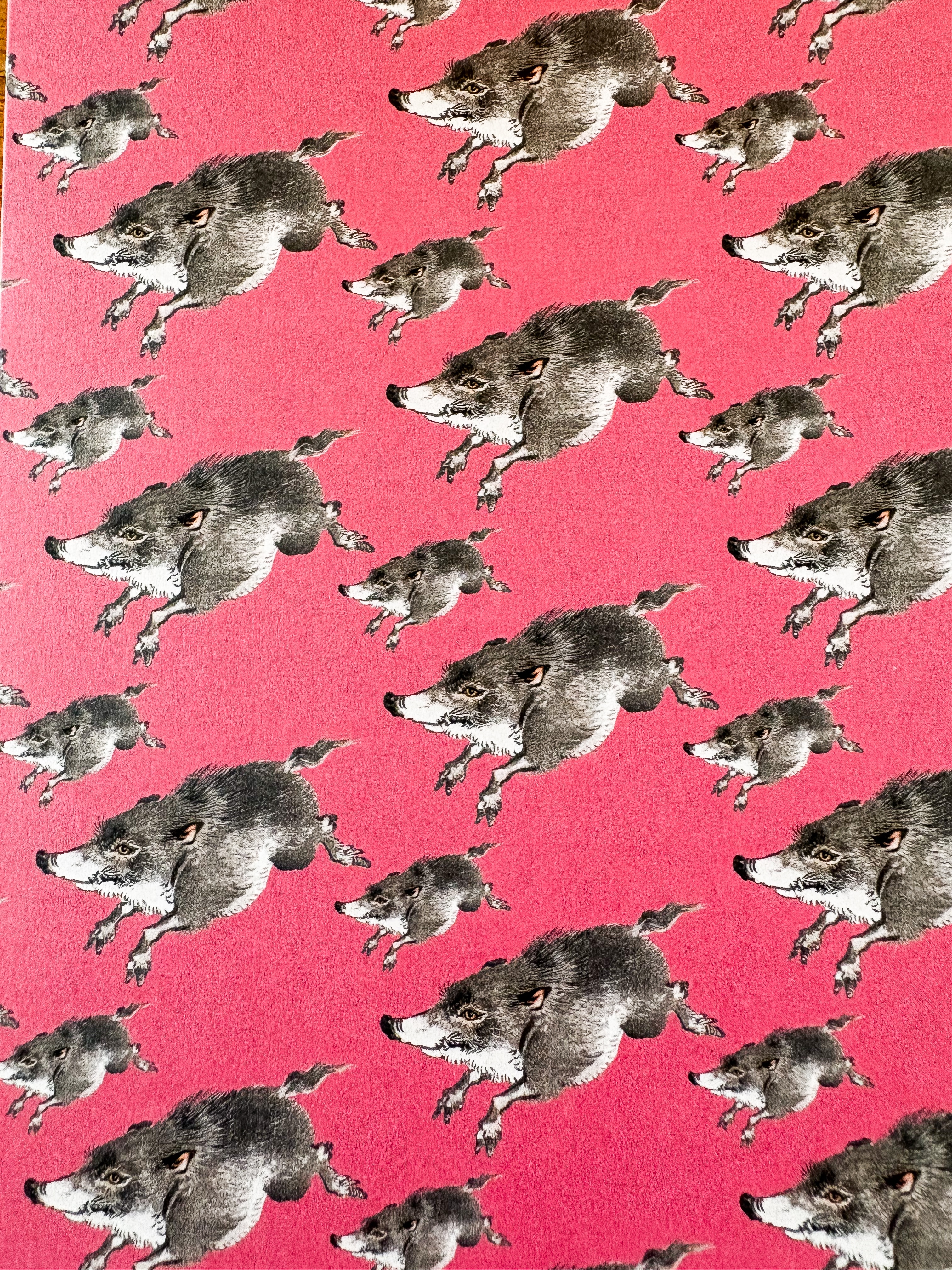 Karta pocztowa  okolicznościowa - urodzinowa - dzik