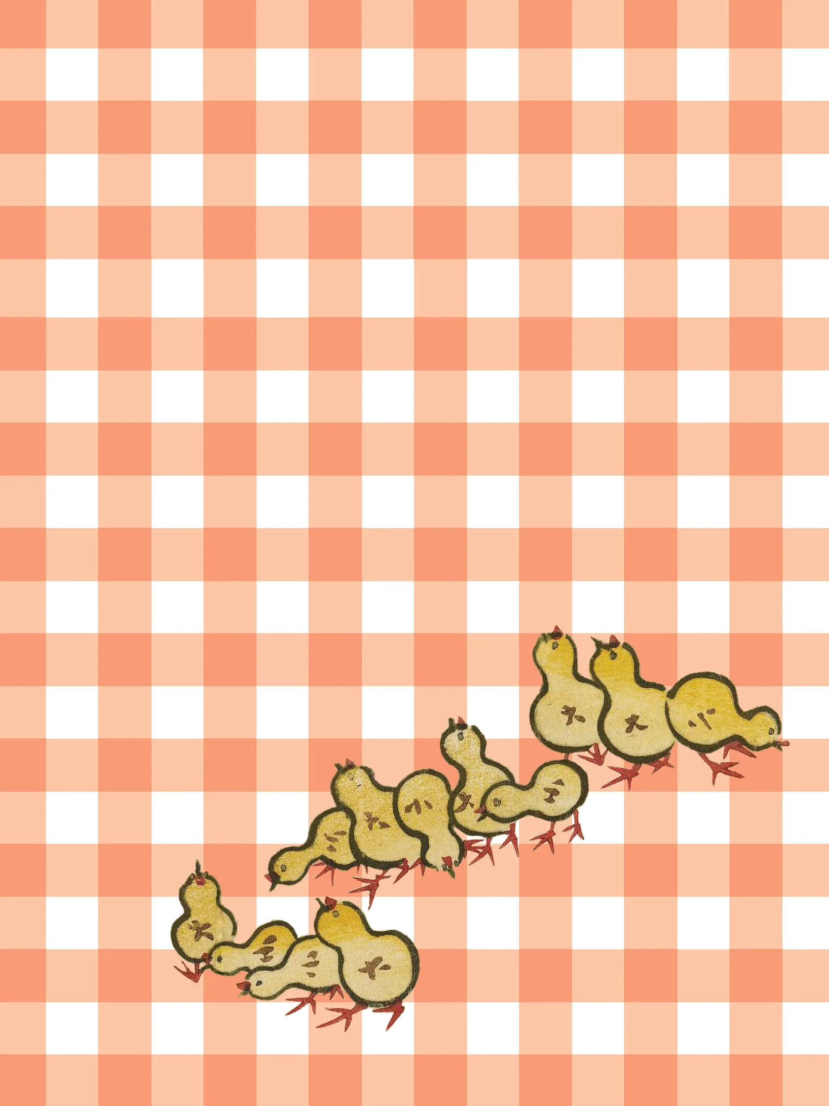 Karta pocztowa  okolicznościowa - gratulacje - kurczaki