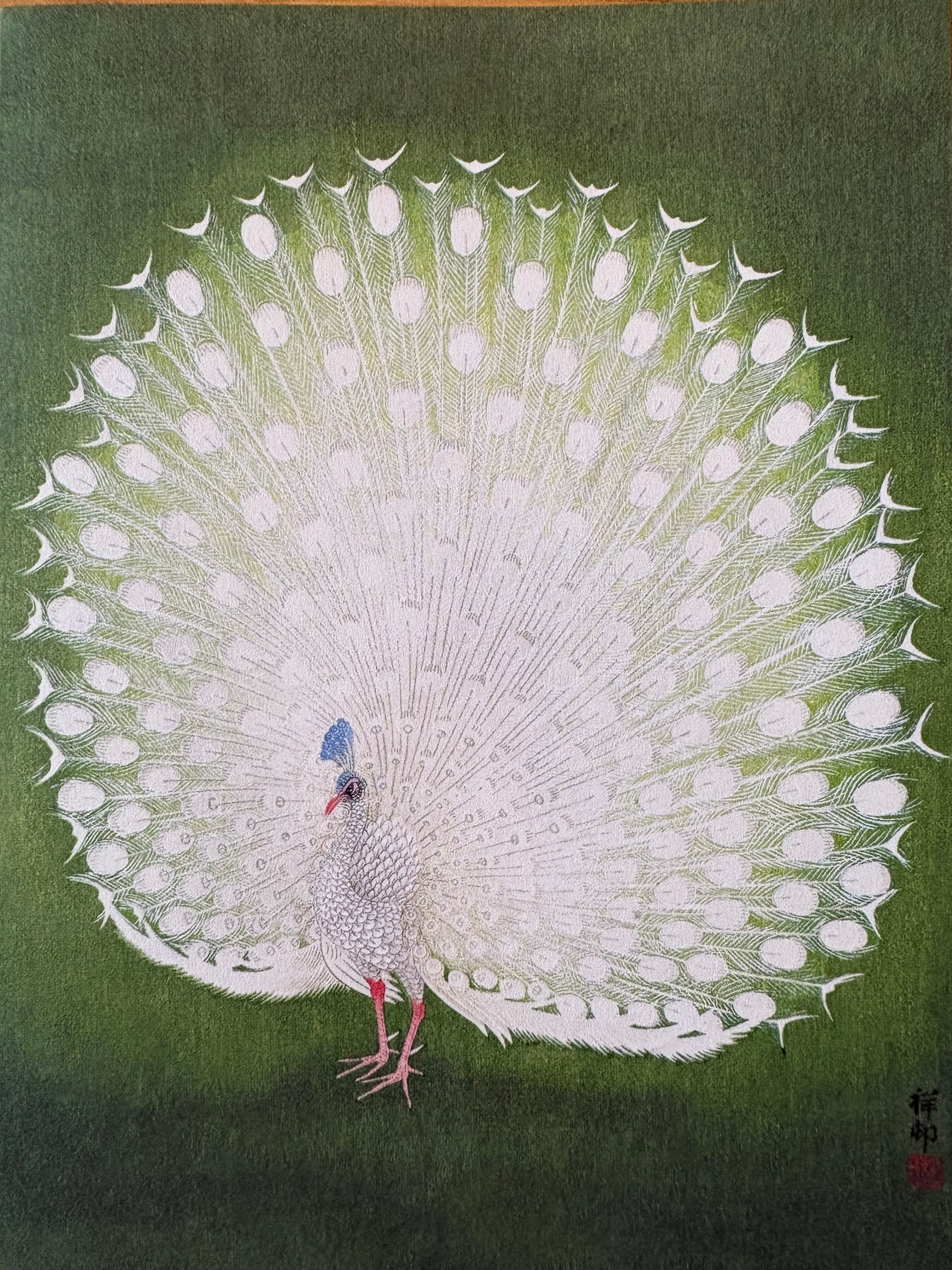 Karta pocztowa  okolicznościowa - gratulacje - paw