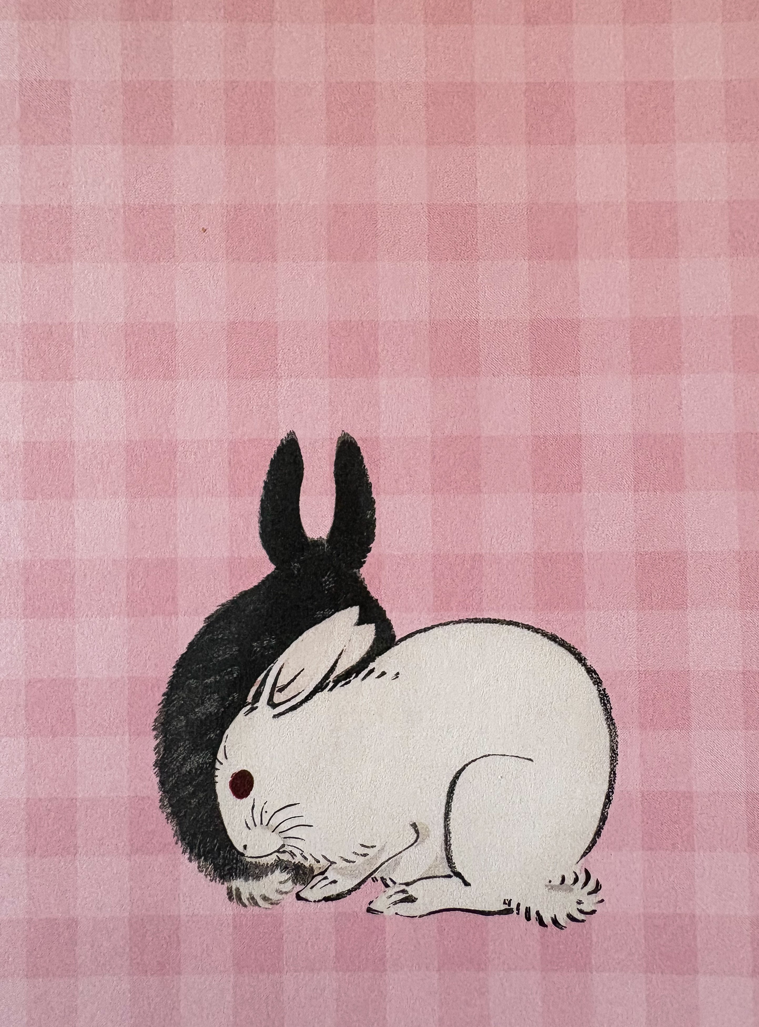 Karta pocztowa  okolicznościowa - gratulacje - biały i czarny królik