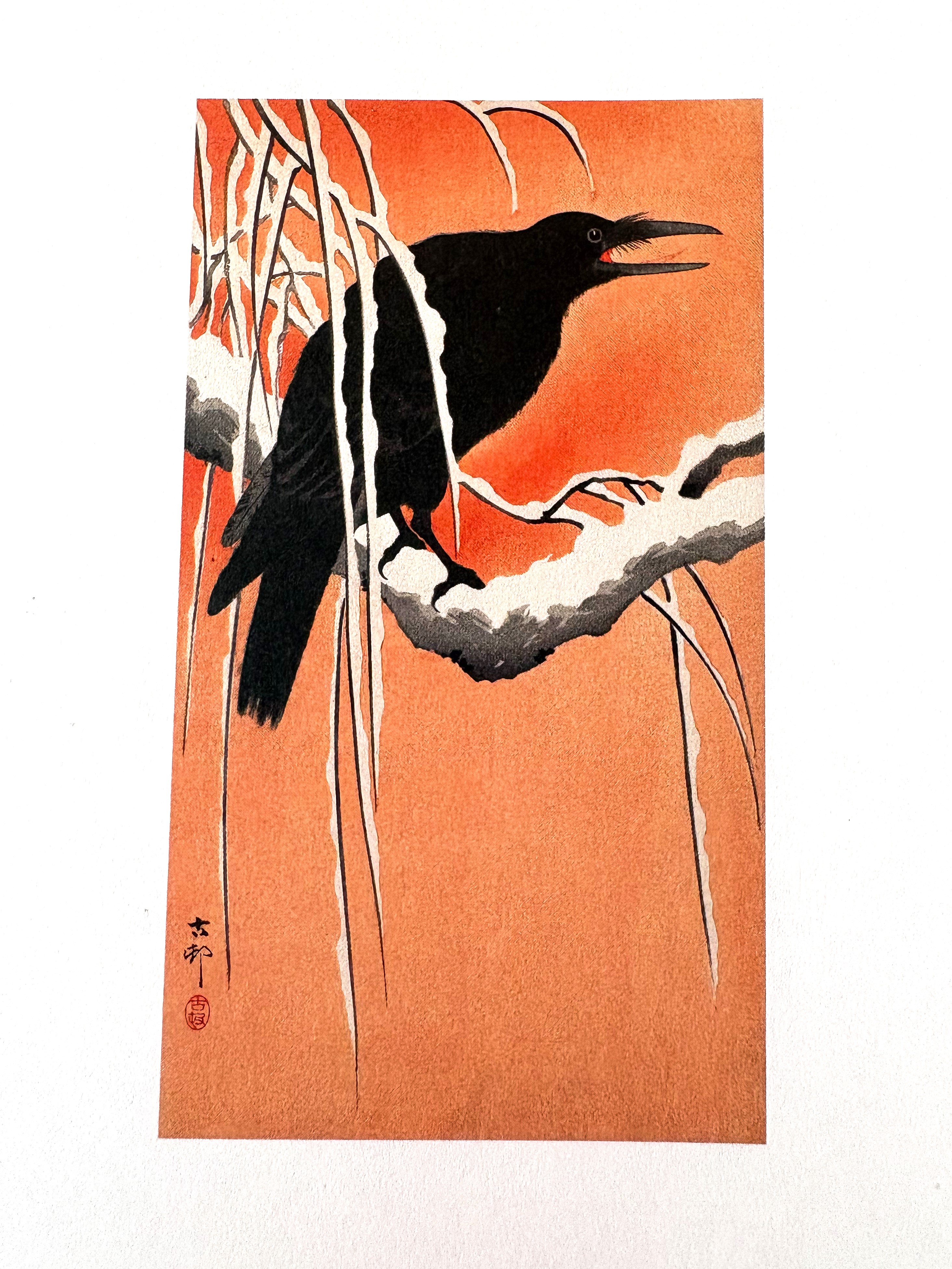 Karta pocztowa okolicznościowa - urodzinowa  -  wrona