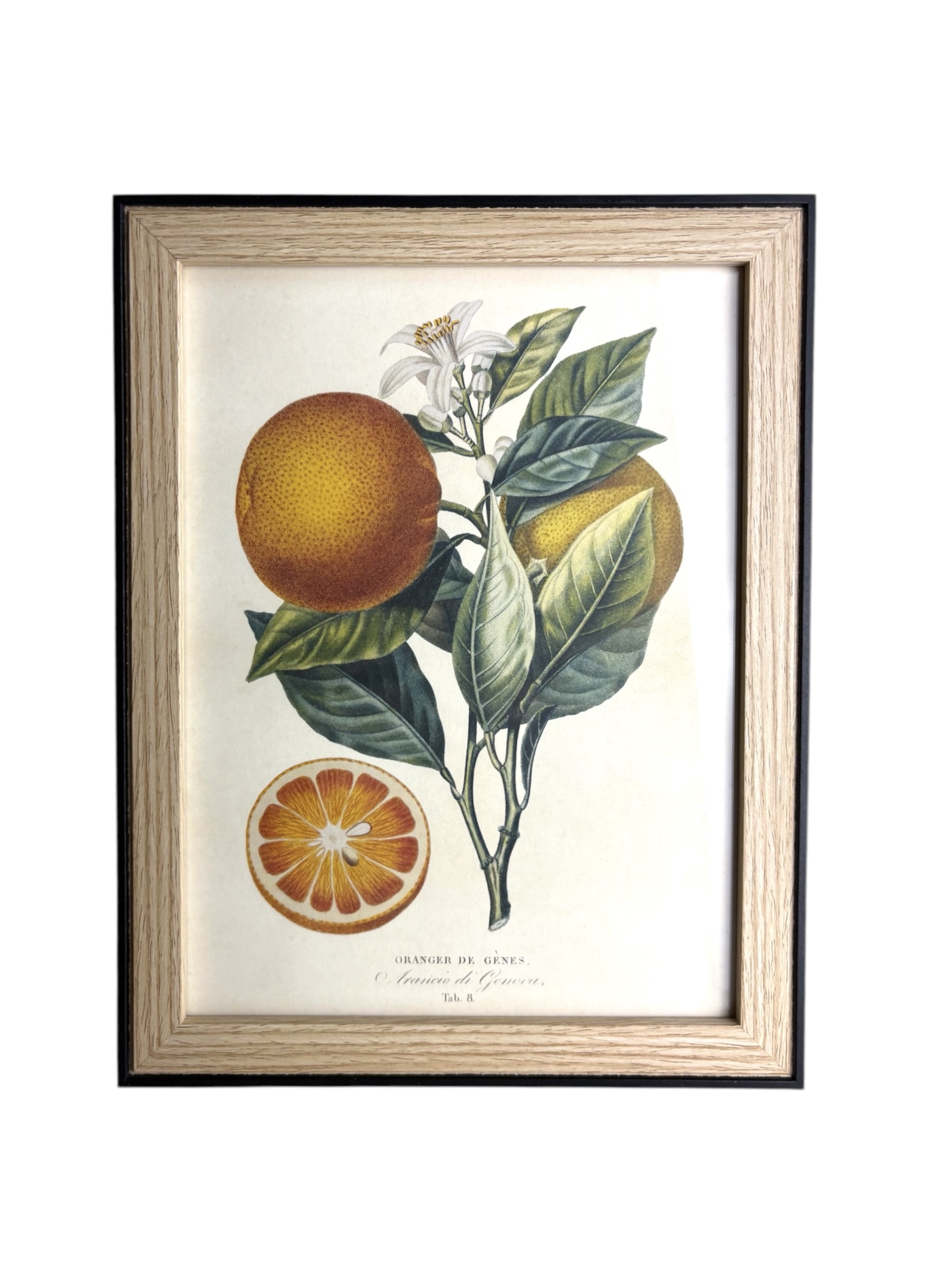 Obraz w drewnianej ramie - pomarańcza